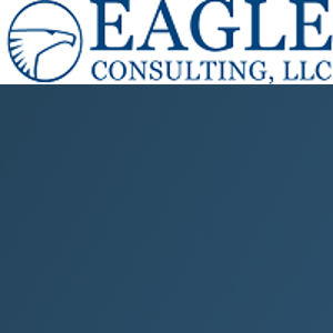 Eagle Consulting, LLC logo