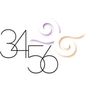 34/56 Group Inc. logo