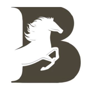 Bulmen Consultant Group, Inc. logo