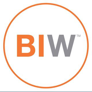 BrandingIron Worldwide logo