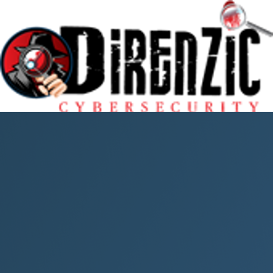Direnzic Technology &amp; Consulting, LLC logo