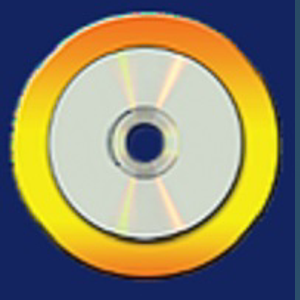 Videosyncracies Inc logo