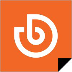 Brand Labs NY, Inc. logo