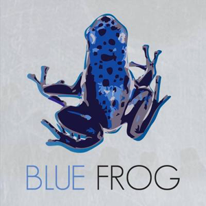 Blue Frog Marketing logo