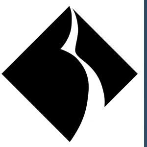 Black Diamond Networks logo