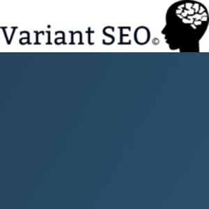 Variant SEO San Antonio logo
