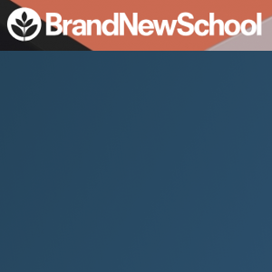 BrandNewSchool logo
