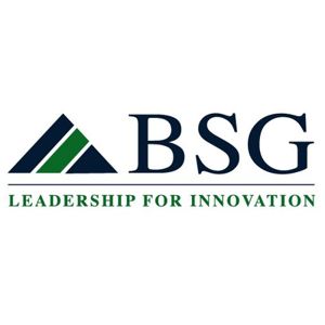 BSG Team Ventures logo
