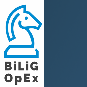 BiLiG_OpEx &amp; CyberWorkForce RPA  Consultants logo