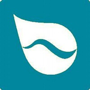 Brightwave Group logo