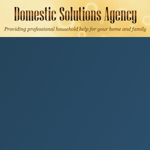 Domestic Solutions logo