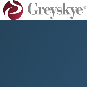 Greyskye Marketing Consultants LLC logo