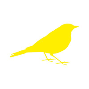 Canary Studio logo