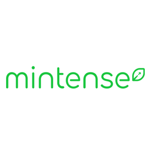 Mintense S.r.l. logo