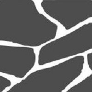 Fieldstone Media logo