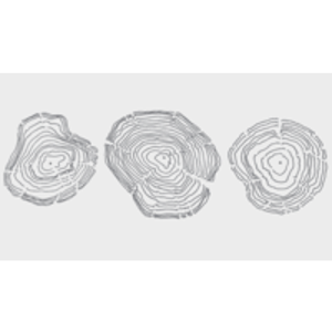 Kindling logo