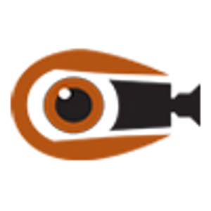 Video Perspective logo