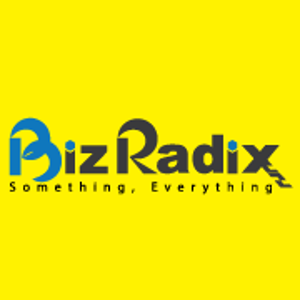 BizRadix logo