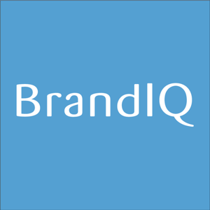 BRANDIQ logo