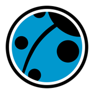 Vorealia International LLC logo