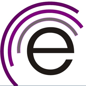 Echo Qualitative Project Support logo
