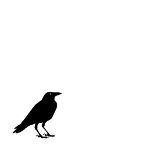 Little Raven Pictures Inc. logo
