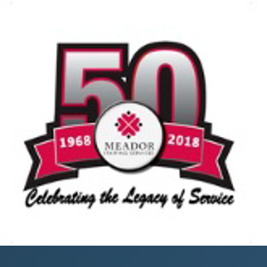 Meador Staffing Solutions logo