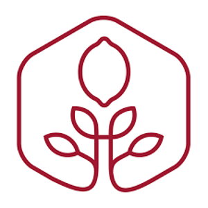 Red Lemon Creative logo