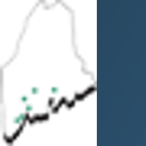 Maine Staffing Group logo