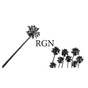 RGN Accountancy Group, Inc. logo