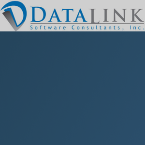 Data Link logo
