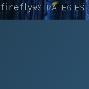 Firefly Strategies, LLC logo