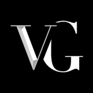 Vega Group, LLC logo