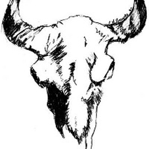 Montana Group logo