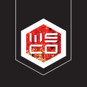 Wayne Scheiner &amp; Co., Inc. logo