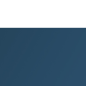 Blue Gem Studios logo