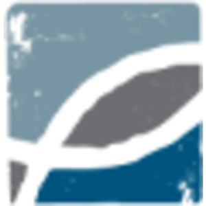 Big Fish Results logo