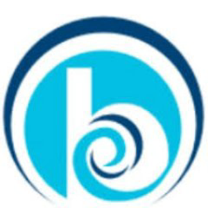 Blue Wave RI logo