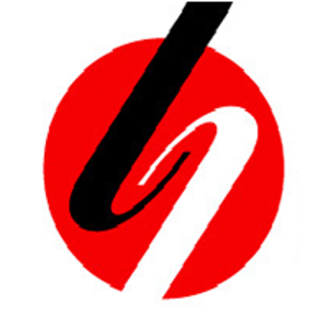 Lenmar Consulting logo