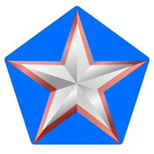 Carpenter Staffing Network, LLC logo