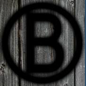 Branding Iron Marketing, LLC logo