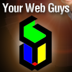 Your Web Guys logo