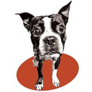 Mantooth Marketing Company logo