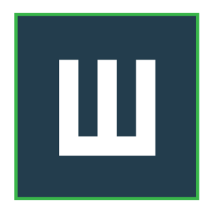 Witgie Solutions logo