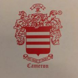 Cameron &amp; Co. Inc logo