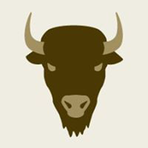 Bison Design Group logo