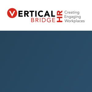 Vertical Bridge HR logo