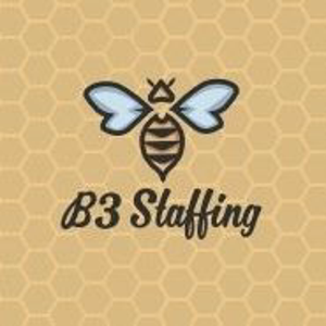 B3 Staffing logo