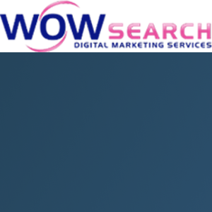 Wow Search Digital Marketing Services logo