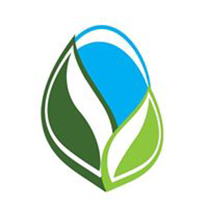 Lifebloom Creative logo
